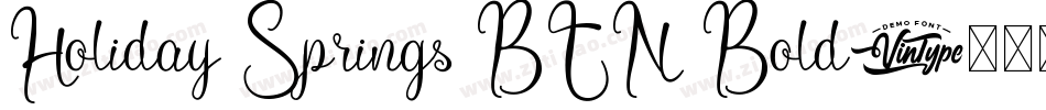 Holiday Springs BTN Bold字体转换
